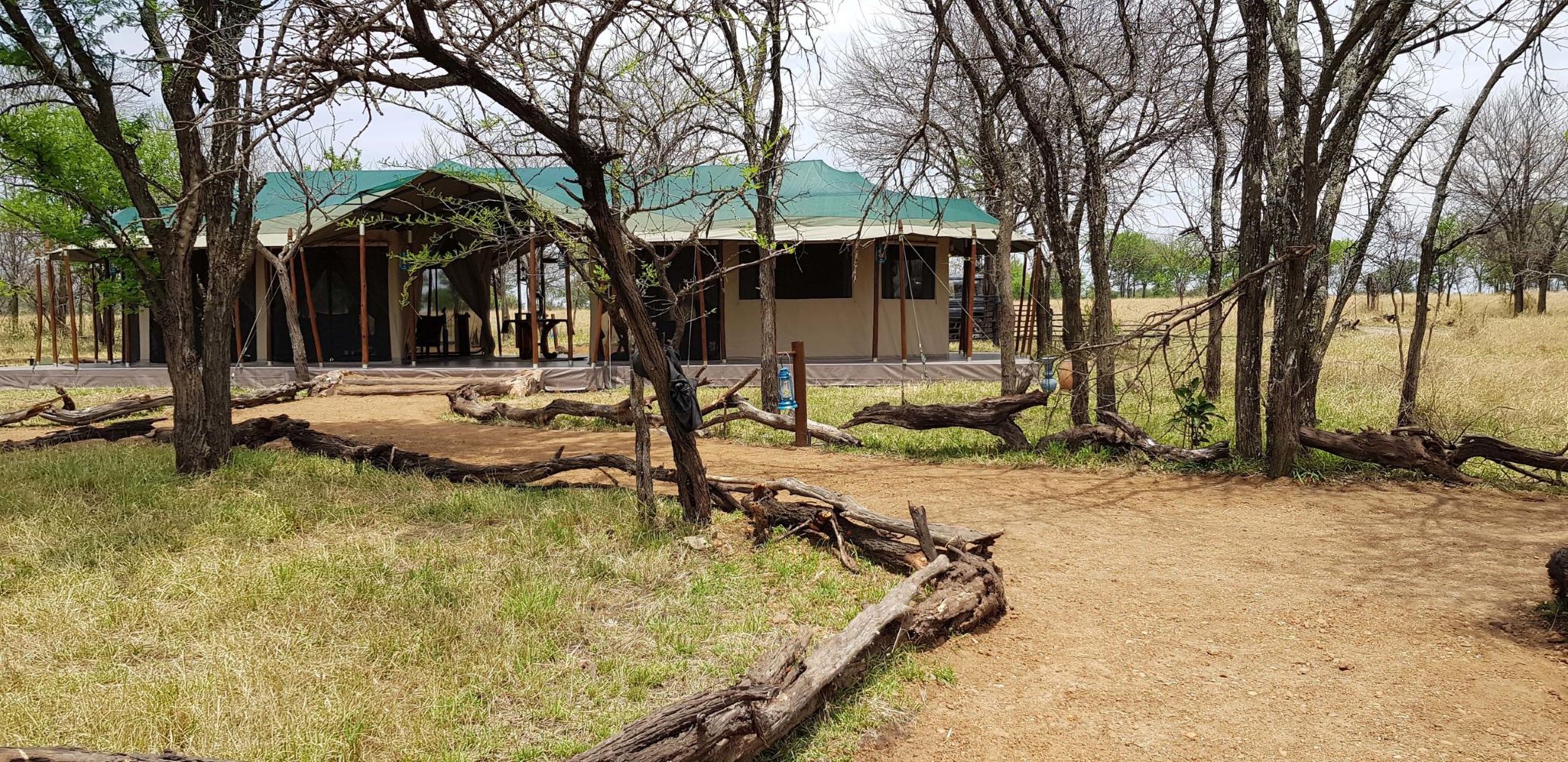Ole Serai Luxury Camp - Kogatende